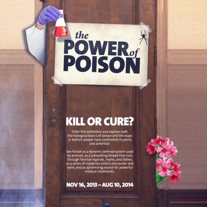 AMERICAN MUSEUM OF NATURAL HISTORY : NEW YORK, NY : POWER OF POISON EXHIBIT