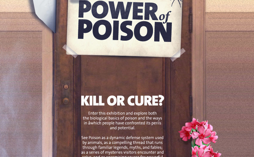 AMERICAN MUSEUM OF NATURAL HISTORY : NEW YORK, NY : POWER OF POISON EXHIBIT