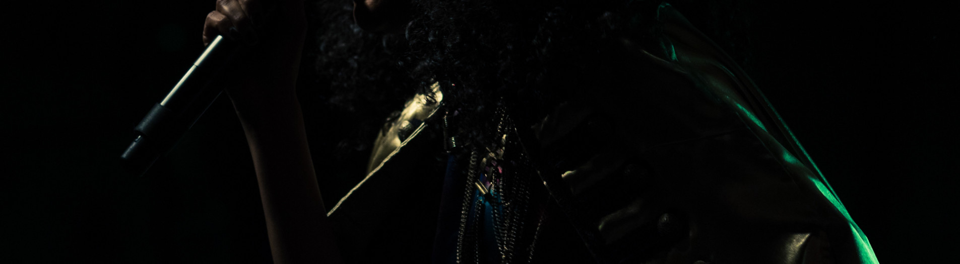 CONCERT PHOTOGRAPHY : JUDITH HILL : RISING STAR