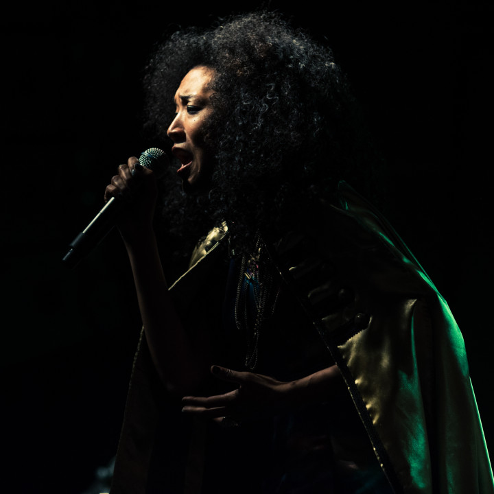 CONCERT PHOTOGRAPHY : JUDITH HILL : RISING STAR